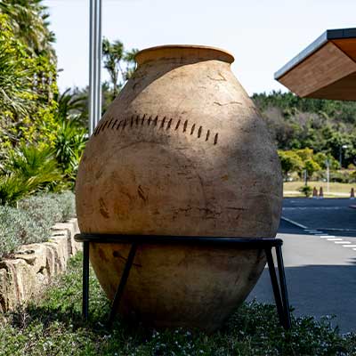 ニシハタ セイジュン