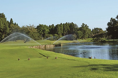 新浪潮高爾夫俱樂部