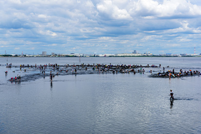 浦安三番瀨海岸